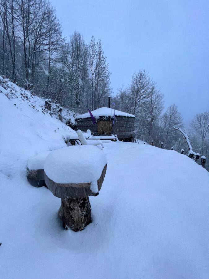 Les Songes Du Chene Hotel Augirein Buitenkant foto